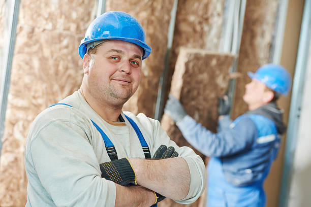 Insulation Inspection Services in Chillum, MD